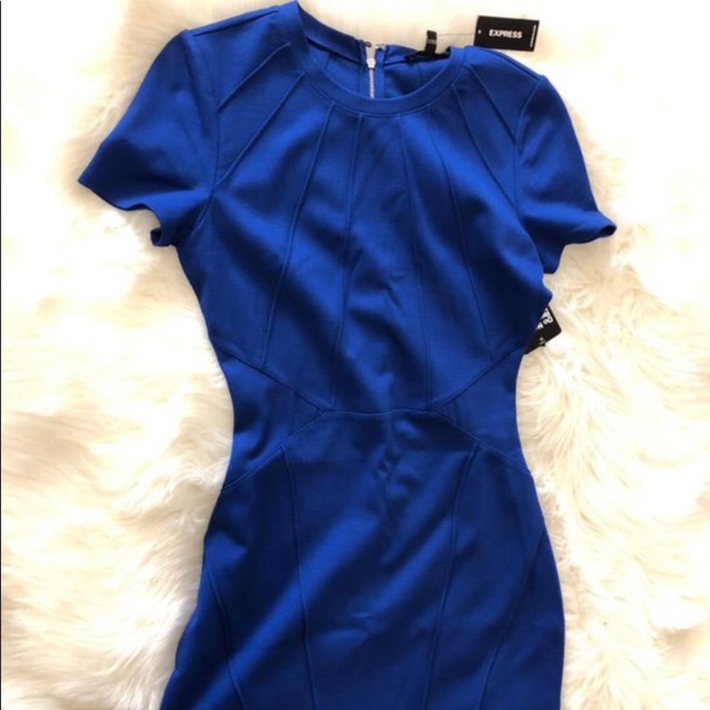 Express bodycon dress
